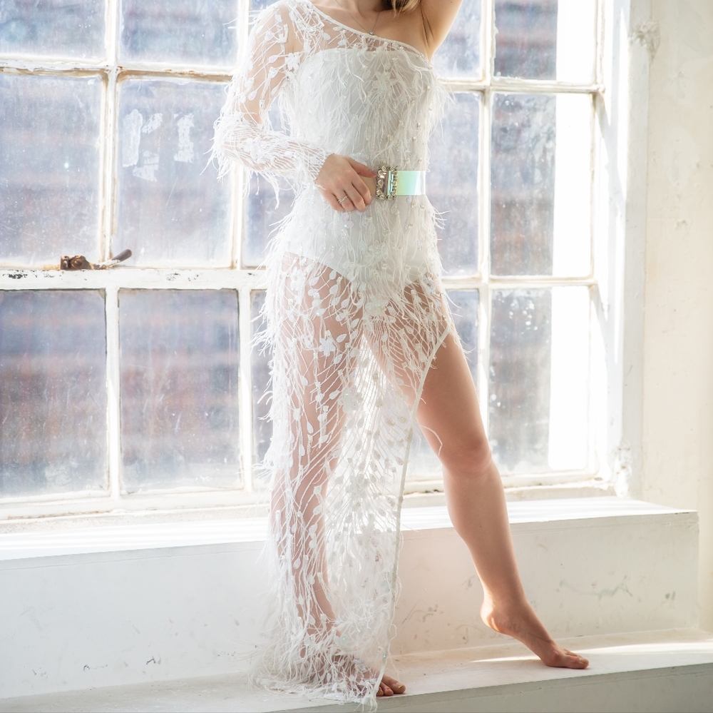 Gently Used Banjul Feather & Sequence Gown Size S